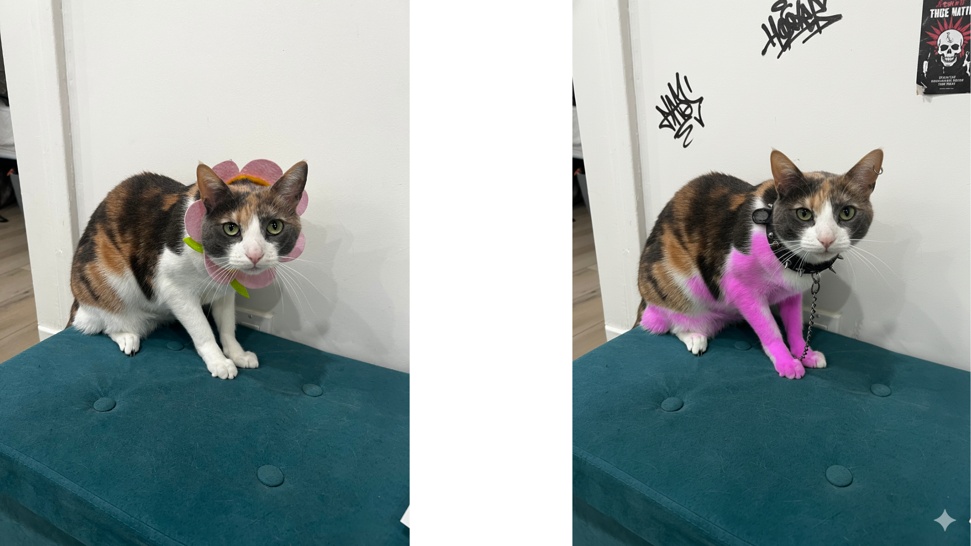 Making My Cat Look Punk Rock Via Nano Banana