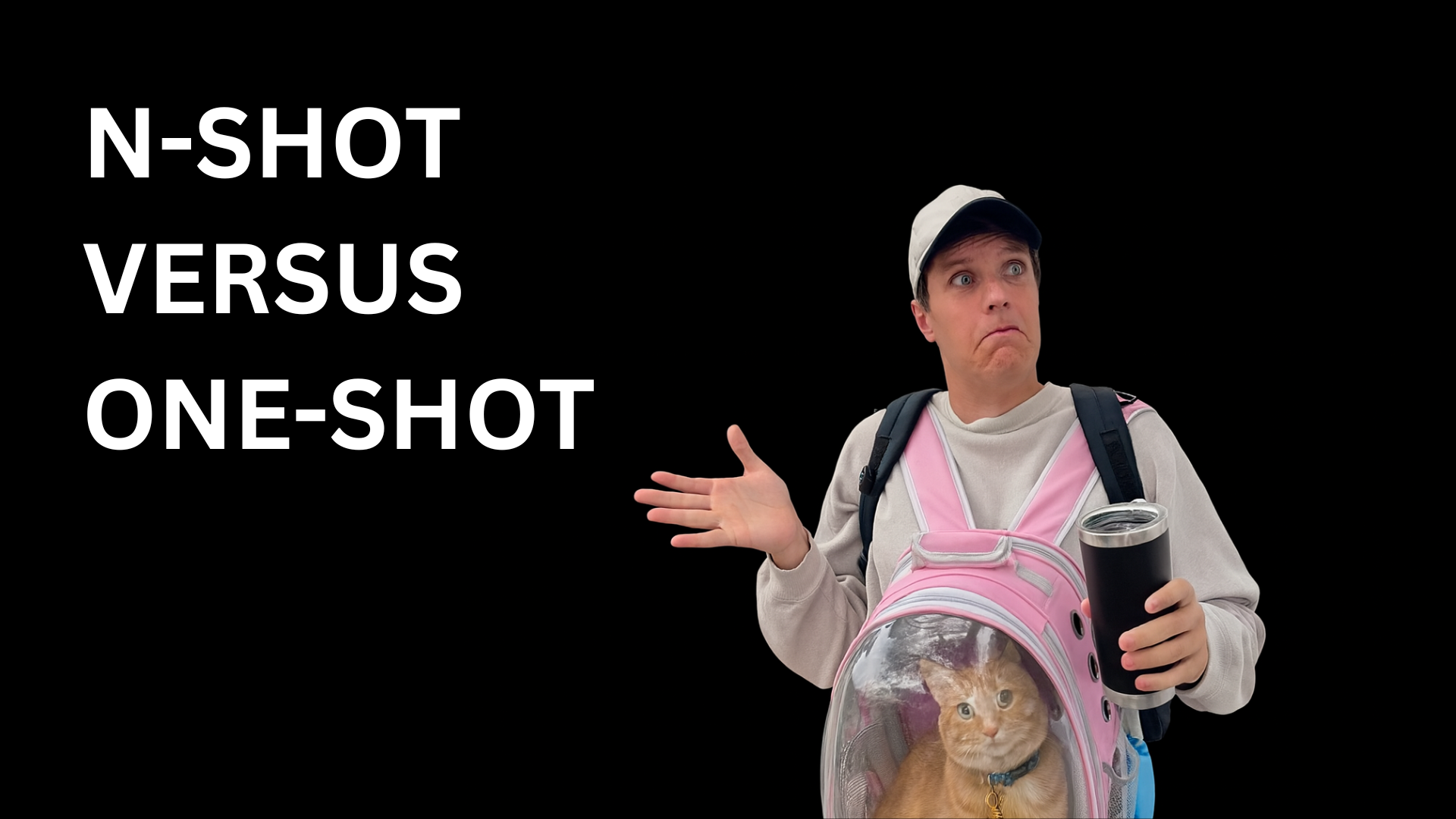 What is Few-Shot Versus One-Shot Learning?